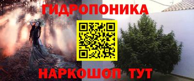 дживик Аша