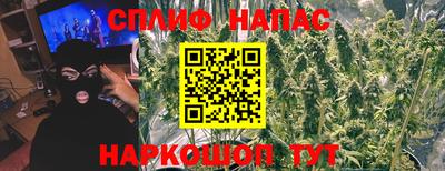 дживик Аша