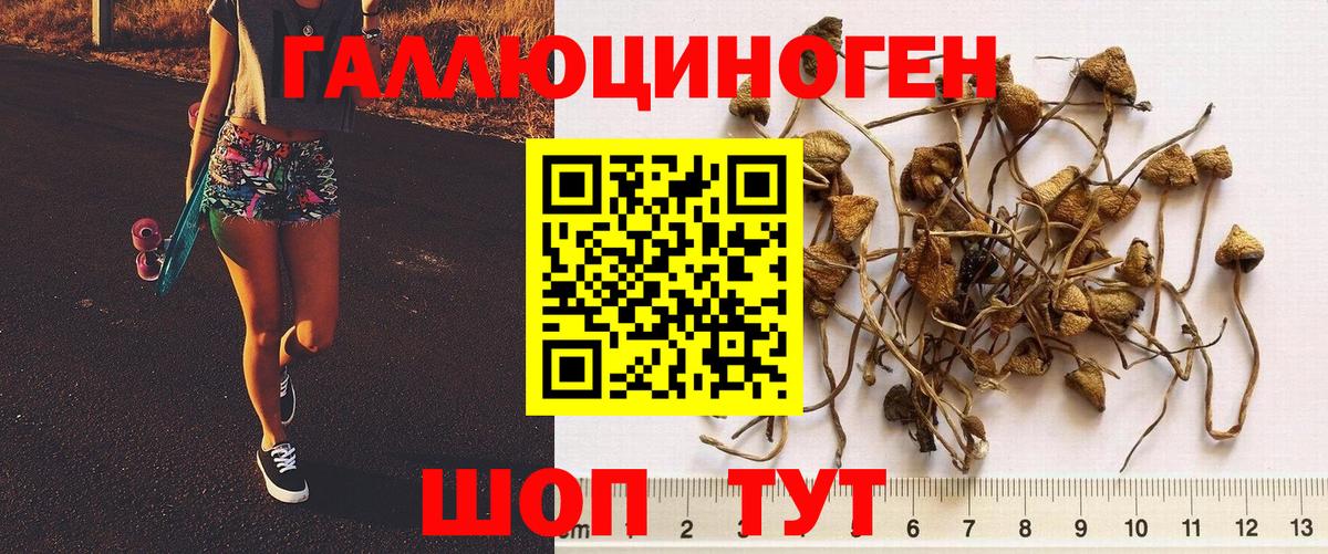 Галлюциногенные грибы MAGIC MUSHROOMS  Вход с VPN  Скопин  Галлюциногенные грибы мицелий 