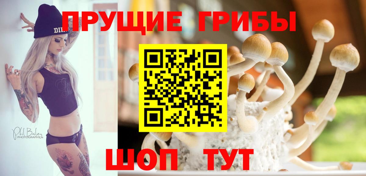 Галлюциногенные грибы Cubensis Скопин